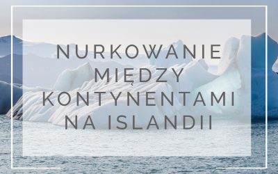 Islandia zimą- szukanie zorzy i arktyczne pływanie między kontynentami